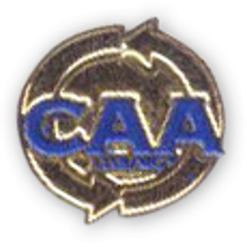 Bóton Fundido Personalizado – Relevo e Pintura Manual com Banho Metálico